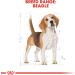 ROYAL CANIN/BEAGLE ADULT 3 kg bag of kibble for Beagle from 12 months - Buy Online on GoSupps.com