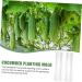 VANZACK Horticulture 3pcs Vegetable Shaping Mold Vegetables Growing Mold Shape Mold for Vegetable Flower Shape Watermelon - Buy Online on GoSupps.com