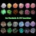 Dealkits 12 Color Fluorescent Chunky Sequin Festival Body Glitter - Glitter Powder Set for Face Nails Eyes & Hair | Perfect for Masquerade Parties & DIY Crafts - Buy Online on GoSupps.com