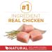 Purina ONE Dry Dog Food Chicken & Rice - 7 kg Bag 7 kg (Pack of 1) Dry Dog Food - Buy Online on GoSupps.com