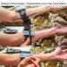 Feloyal Tourniquet Set - Tactical Emergency Accessories for Hiking & Hunting | Blood Loss Control - Black (2 Pack) - Buy Online on GoSupps.com
