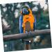 PopetPop Flying Bird Diapers - Premium Pigeon & Parrot Flight Suit | ARA WellensiTich Neoprene Urine-Proof Diapers for Birds (17x9cm) - Buy Online on GoSupps.com