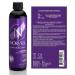 Norvell Venetian Professional Sunless Tanning Spray Tan Solution - 8 fl. oz - Buy Online on GoSupps.com
