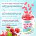 Alpha Lipoic Acid Gummies 600mg - High Absorption ALA Supplement for Antioxidant Support Vegan Sugar-Free Raspberry Flavor 60 Count 60 Count (Pack of 1) - Buy Online on GoSupps.com