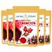 Lotustoday Herbal Tea 100% Natural Hibiscus Tea Bags (Pack of 5) Can make Iced Tea. Also Known as Rosella & Sorrel