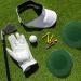 ZLY Golf Cup Cover - 4PC | Practice Putting Green Hole Cup for Golf Training & Outdoor Activities - Buy Online on GoSupps.com