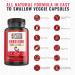 Berberine HCL 1200mg with Ceylon Cinnamon, Bitter Melon & Green Tea | Supports Cardiovascular & GI Health | Immune System Support | 120 Capsules - Buy Online on GoSupps.com
