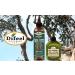 Difeel Scalp Care Tea Tree Oil - 99% Natural Premium Hair Oil | 8 oz | International Shipping Available - Buy Online on GoSupps.com