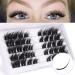 ALICE C2 Cluster Lashes: Wispy 3D Flat DIY Faux Mink Lash Clusters - Individual False Eyelashes Pack - Buy Online on GoSupps.com