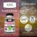 Kaya Naturals - Resveratrol Capsules - Anti Aging Supplement - Antioxidants with Brain Support - Maximum Benefits - 180 Veggies Capsules - Buy Online on GoSupps.com