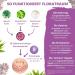 Buy Florate Room - Premium Probiotic Complex with 25 Bacterial Strains & Vitamin B - 450 Billion KBE/g - Worldwide Shipping Available - Buy Online on GoSupps.com