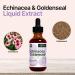 Echinacea and Goldenseal 2 fl oz Liquid Extract - Natural Herbal Supplement - Immune Support Drops - Enhance Sleep | Boost Energy - High Potency - 45-Day Supply - Buy Online on GoSupps.com