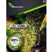 Naturesupplies Super Oregano Oil 30ml - 80% Carvacrol - Made in UK - Mediterranean Grown - Super Potent Essential Oil - 125-130mg Carvacrol Per Serving - Buy Online on GoSupps.com