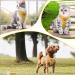 Premium Adjustable Cat & Puppy Dishes with Leash - Soft Chest Harness XS for Small Animals | International Shipping - Buy Online on GoSupps.com