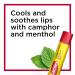 Carmex Medicated Lip Balm Sticks Lip Moisturizer for Dry Chapped Lips - 3 Count 3 Count (0.15 Ounce each) - Buy Online on GoSupps.com