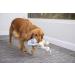 goDog Dinos Squeaker Plush Dog Toy - Chew Resistant & Durable - Large Frills (Gray) - Buy Online on GoSupps.com