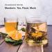 Hotel Emporium 1 Gallon Bulk Shampoo Refill - 100% Cruelty-Free White Tea Scent for All Hair Types | Essential Guest Bathroom Supplies for Hotels Motels & Gyms - Buy Online on GoSupps.com