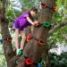 18 Ninja Tree Climbing Holds with 6 Ratchet Straps - Outdoor Obstacle Course Training for Kids - Buy Online on GoSupps.com