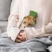 Buy Animal Fox Hot Water Bottle with Plush Cover - Hand Warmer for Adults & Kids | 26.5X15.3cm - International Shipping Available - Buy Online on GoSupps.com