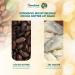 Himalaya Lip Balm Cocoa Tube | Moisturising Rich Butter Care 10g | International Shipping - Buy Online on GoSupps.com