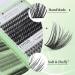 30p/40p Mixed Cluster Eyelashes | GLANVY DIY Lash Extension Kit | 551pcs Natural Look Individual Lashes | 6-in-1 Ultra-Large Capacity - Buy Online on GoSupps.com