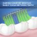 Oral-B Indicator Color Collection Soft Manual Toothbrush, 2 Count Pack - Best for Effective Cleaning - Buy Online on GoSupps.com
