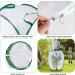 TSLBW Insect Butterfly Habitat Butterfly Garden Kit Large Butterfly Habitat Cage Collapsible Pop-up Insect Monarch Butterfly Net Butterfly House for Kids 40 * 40 * 60cm - Buy Online on GoSupps.com