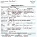 Large Print Family Group Sheets for Ancestry (30 Sheets) - Archival Quality Genealogy Forms - Buy Online on GoSupps.com