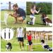 GTHJEXZ Dog Whistle to Stop Barking Dog Training Whistle for Recall and Barking Control with Lanyard Strap Professional Dog Whistles 4 Pack (Black) - Buy Online on GoSupps.com