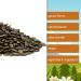 Buy 3.5kg of Unsalted Raw Pumpkin Seeds - Crisp Green Shellless Kernels - 100% Vegan & Natural - Perfect for Snacking - International Shipping Available - Buy Online on GoSupps.com