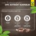 Raab Vitalfood OPC Extract Capsules - 90 Vegan & Gluten-Free Grape Seed Oligomeric Proanthocyanidins for Optimal Health - Buy Online on GoSupps.com
