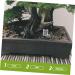 Hohopeti Pet Water Feeder Ants Feeding Bowl Insect Water Feeder Transparent Ants Feeding Cup Plastic - Buy Online on GoSupps.com
