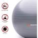 Wisemax Exercise Ball Chair Bundle - 65cm Gray with Ring Base, Resistance Bands, Pump, Carry Bag, Poster - Ideal for Home, Office, Gym Workouts - Buy Online on GoSupps.com