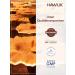 HAWLIK Medicinal Mushrooms Cordyceps Powder Capsules - 250 Vegan Capsules - 500 mg - Premium Quality - International Shipping Available - Buy Online on GoSupps.com