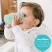 The First Years My First Open Cup 2-in-1 Baby Training Cups, Ages 12 Months+, Pink/Lavender/Green - 2 Count - Buy Online on GoSupps.com