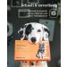 Vetevo Allergy Test Plus for Dogs | 175+ Intolerance Tests for Itching & Sneezing | Identify Food & Environmental Allergens - Buy Online on GoSupps.com