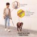 Vitazoo 3m Dog Leash - Adjustable Nylon Leash with Carabiners for Small to Large Dogs - Graphite & Brown Options - Buy Online on GoSupps.com