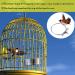 Rfvtgb 3-Piece Bird Feeder Cup Steel Parrot Feeder Cup Animal Cage Water Food Bowl S - Buy Online on GoSupps.com