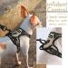 Rabbitgoo No-Pull Dog Harness for Small Dogs Adjustable Breathable Design Safe Control XS Size Ideal for Training & Comfort - Buy Online on GoSupps.com