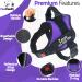 Pawpawify Personalized Dog Harness - Anti-Pull Choking Prevention for XS Dogs (Chest 17-22in) - Durable Training & Walking Gear in Purple - Buy Online on GoSupps.com