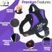Pawpawify Personalized Dog Harness - No Pull Durable & Adjustable for Training | Chest 28-38in | Purple - Buy Online on GoSupps.com