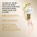 Max Factor Miracle Pure Foundation Soft Toffee 84 - Lightweight Coverage for Flawless Skin - Buy Online on GoSupps.com
