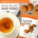 Homefree Mini Ginger Snap Cookies - Organic, Gluten Free, Nut Free, Vegan Snack - 0.95 oz. Individually Wrapped Packs (Pack of 10) - Buy Online on GoSupps.com