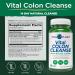 Vital Planet Colon Cleanse - 14-Day Detox & Digestive Health Support | Magnesium Slippery Elm & Aloe | 28 Capsules - International Shipping Available - Buy Online on GoSupps.com