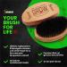GROW First Cut Boar Bristle Beard & Wave Brush for Men 360 - USA Made - Stimulate Growth, Exfoliate, Detangle, Moisturize - Improve Circulation & Blood Flow - Buy Online on GoSupps.com