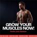 ATP Creatine Serum: Pre-Workout Muscle Fuel for High Energy Boost & Lean Muscle Growth - Buy Online on GoSupps.com