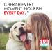 Sun Chlorella Rejuv-A-Wafers - Daily Superfood Supplement for Pets - Immune Defense & Gut Health Support - 60 Wafers - Buy Online on GoSupps.com