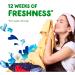 Buy Gain Fireworks In-Wash Scent Booster Beads - Blissful Breeze 12.2 oz | International Shipping Available - Buy Online on GoSupps.com