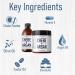 Chebe Butter and Chebe Oil Set - Argan Oil Moisturizer for Hair Growth and Thickening | Prevent Breakage, Split Ends, and Hair Loss with Chebe Powder - Citrus Scent - Buy Online on GoSupps.com
