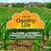 Country Life Resveratrol Plus - 60 Vegan Capsules for Antioxidant Support - Buy Online on GoSupps.com